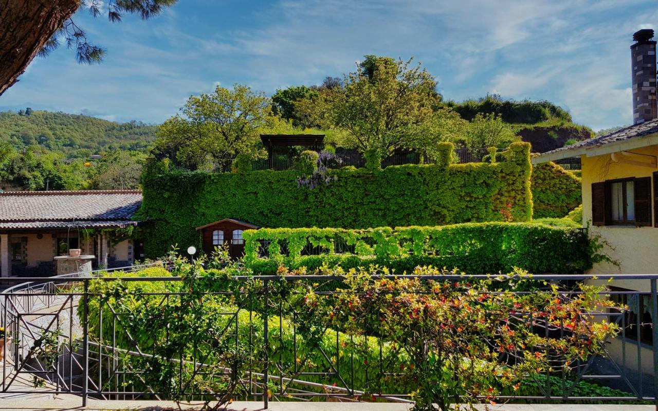 Agriturismo Le Vigne Bolsena Zewnętrze zdjęcie