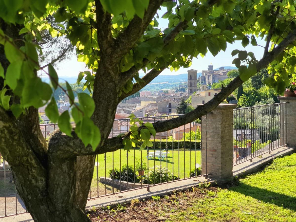 Agriturismo Le Vigne Bolsena Zewnętrze zdjęcie